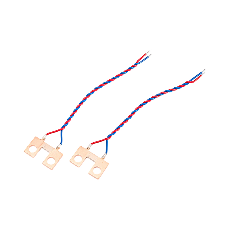 FHS-006 উচ্চ নির্ভুলতা দুই-তারের তামা শান্ট