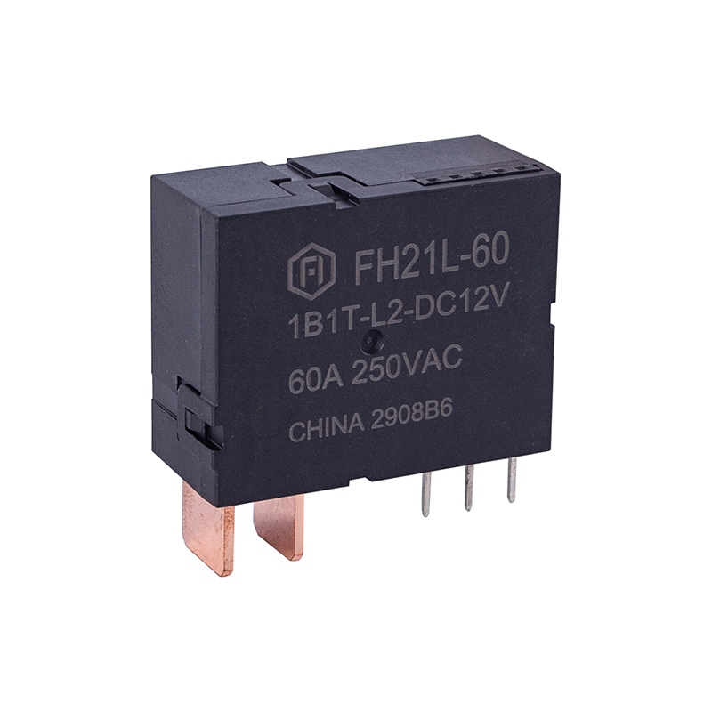 FH21L-60 ল্যাচিং রিলে IEC62055-31 UC1 অনুগত